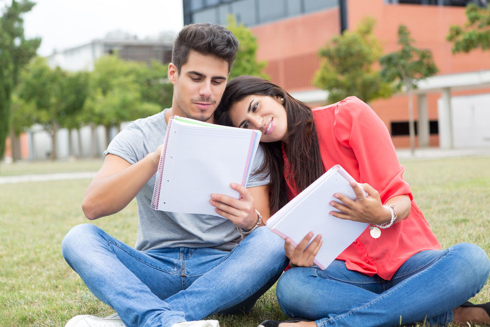 雅思等级划分;雅思等级划分B1C1